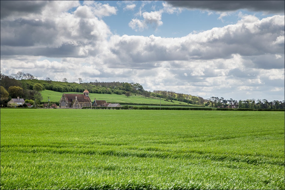 North Cliffe Wood bluebell walk Northcliffe walk East Yorkshire walks